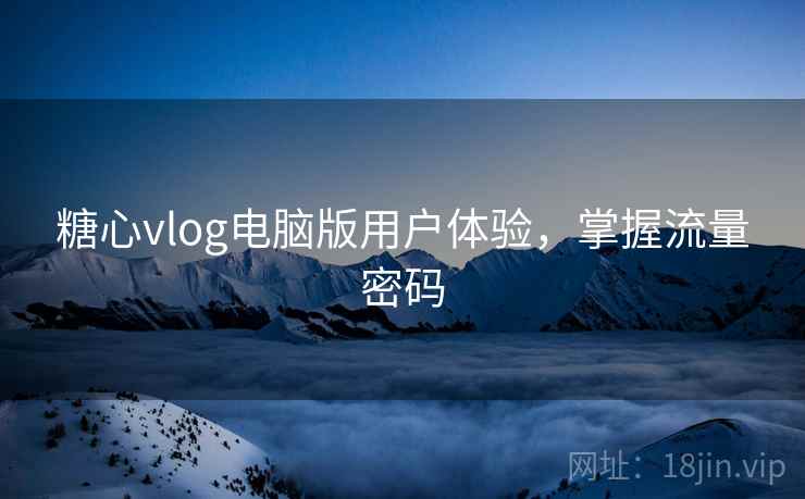 糖心vlog电脑版用户体验，掌握流量密码