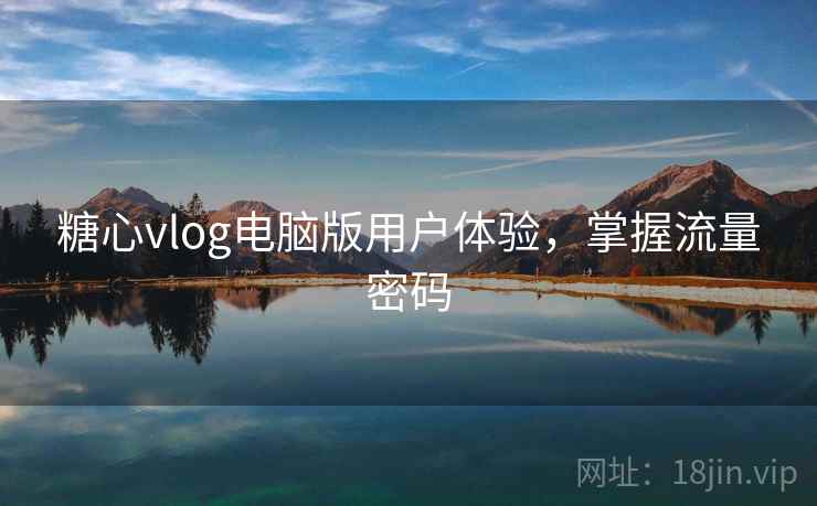 糖心vlog电脑版用户体验，掌握流量密码  第2张