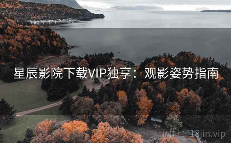 星辰影院下载VIP独享:观影姿势指南