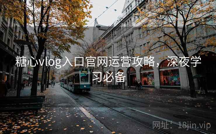 糖心vlog入口官网运营攻略，深夜学习必备